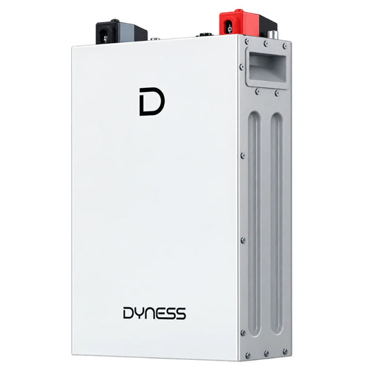 Dyness DL5.0F 5.12kWh 51.2V 100Ah LiFePO4 Lithium Solar Battery South Africa