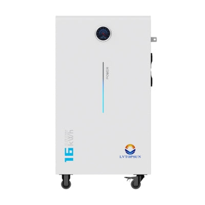 LVTOPSUN 16.07kWh 51.2V 314Ah LiFePO4 lithium solar battery South Africa